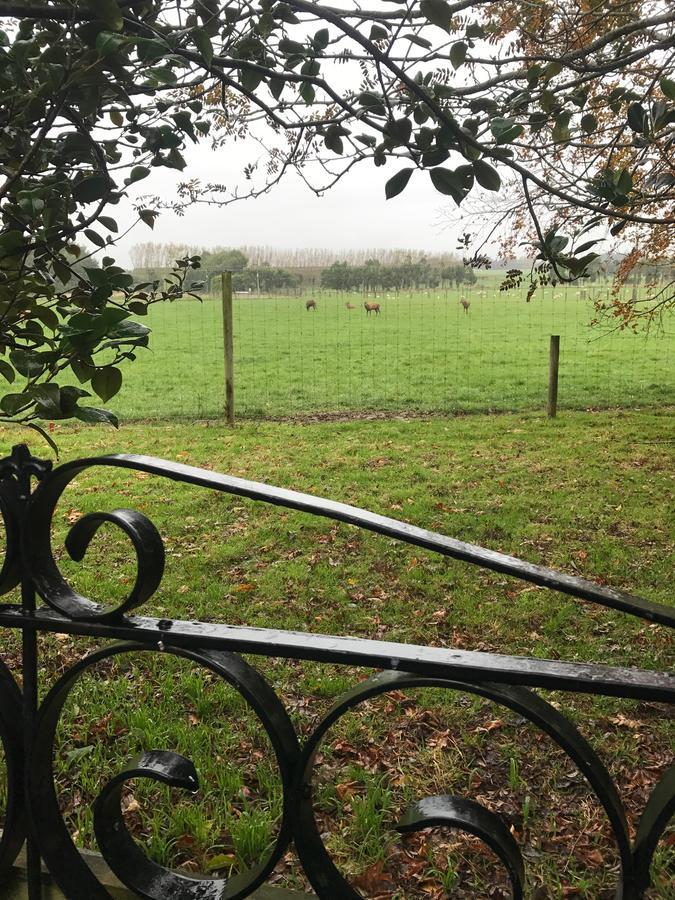 Mcivor Lodge Invercargill Bagian luar foto