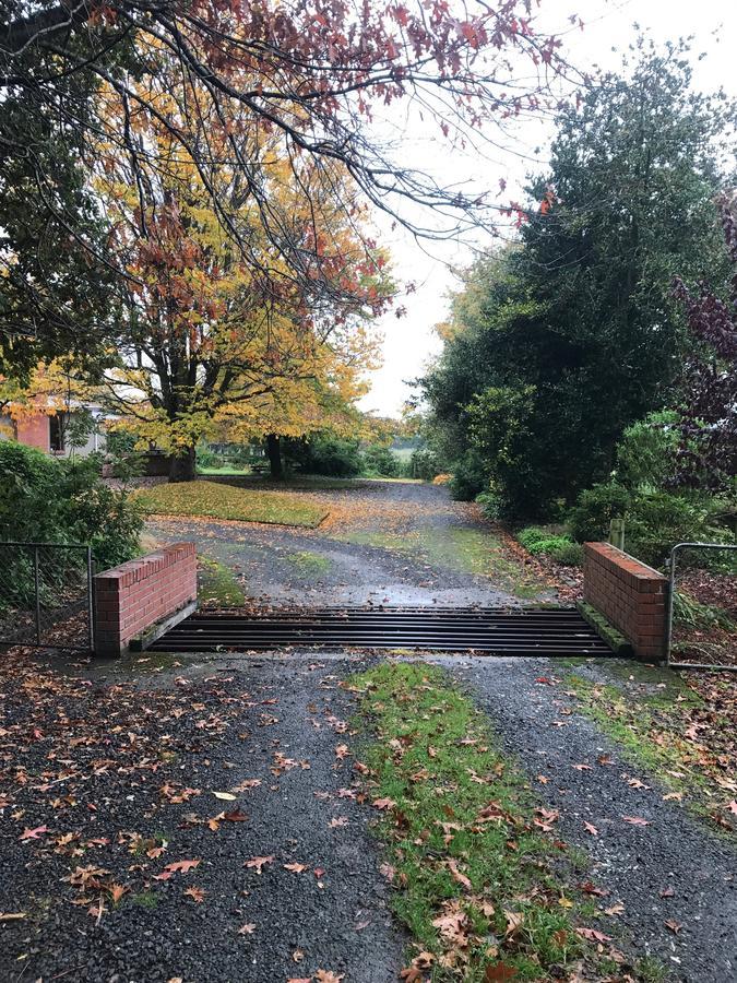 Mcivor Lodge Invercargill Bagian luar foto